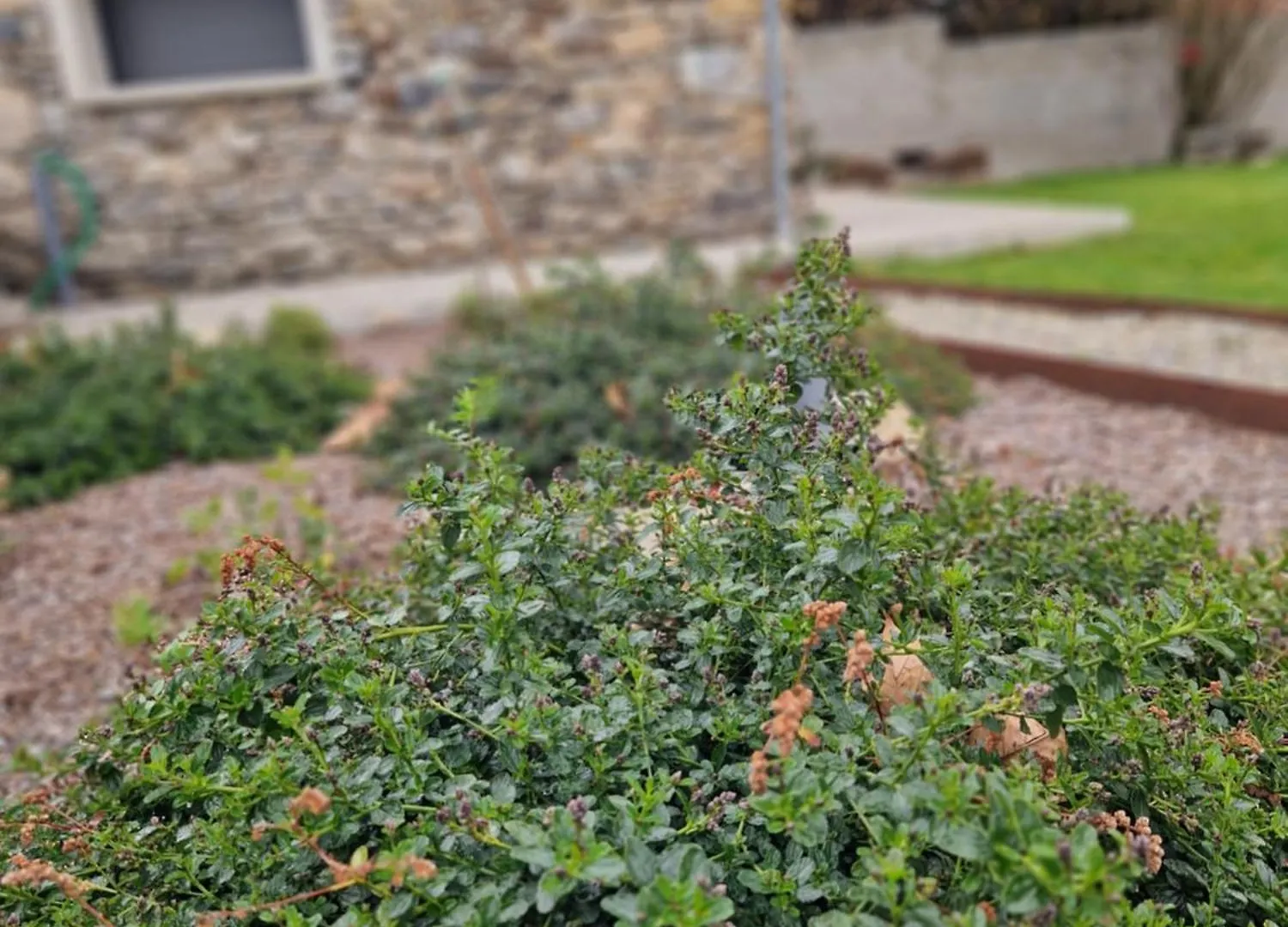 וילה הוילה Arnave La Belle Grange צרפת